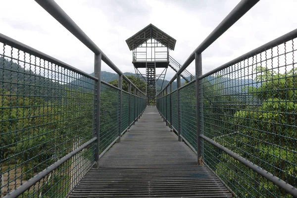 Treetop gölgelik yürüyüş akşam gökyüzü ile — Stok fotoğraf