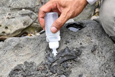 Arkeologlar fosilleri keşfetmek için araç ve ekipman kullanıyorlar 