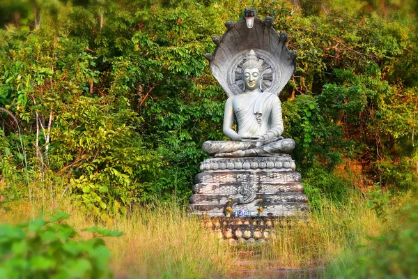 Статуя Будди в лісі храму Пху Салао в Паксе (Лаос). — стокове фото