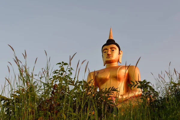 A grande estátua dourada de Buda do templo de Phu Salao em Pakse, Laos — Fotografia de Stock