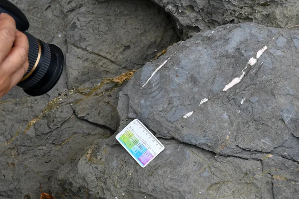 Archäologen erforschen Fossilien mit Werkzeugen und Geräten — Stockfoto