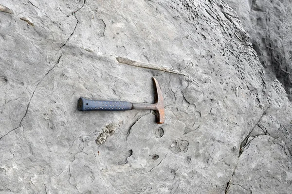 Archäologen erforschen Fossilien mit Werkzeugen und Geräten — Stockfoto
