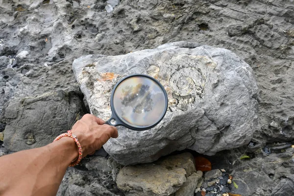 Arkeologlar fosilleri keşfetmek için araç ve ekipman kullanıyorlar — Stok fotoğraf