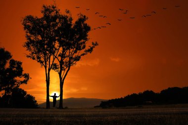 İnsanların silueti, ağaçlar, dağlar ve kızıl gökyüzü günbatımı