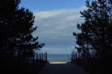 Güneşli bir günde sahile giden bir yol.
