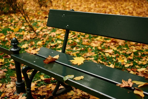 Žluté Listy Zelené Lavičce Parku Podzimní Scéna — Stock fotografie
