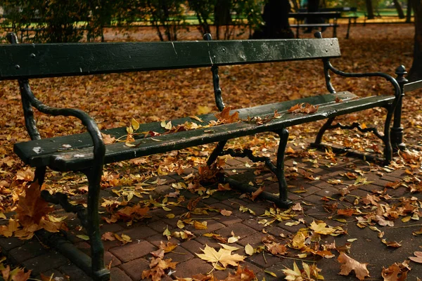 Žluté Listy Zelené Lavičce Parku Podzimní Scéna — Stock fotografie