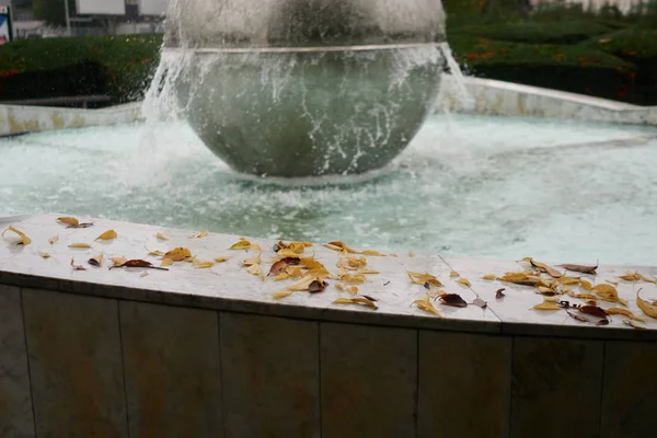 Herbstszene Gelbes Laub Stadtpark Brunnen — Stockfoto