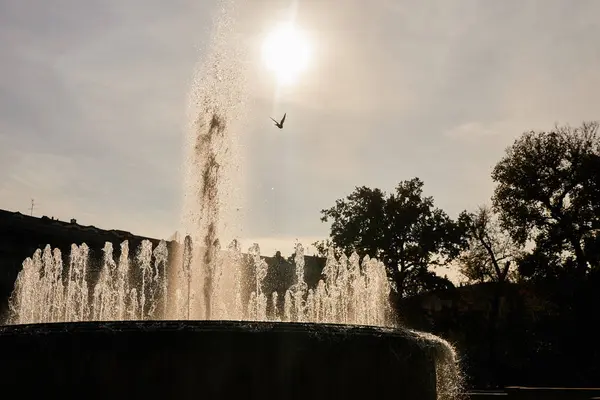 City View Beautiful Fountain Pigeon Flying — Stock Photo, Image