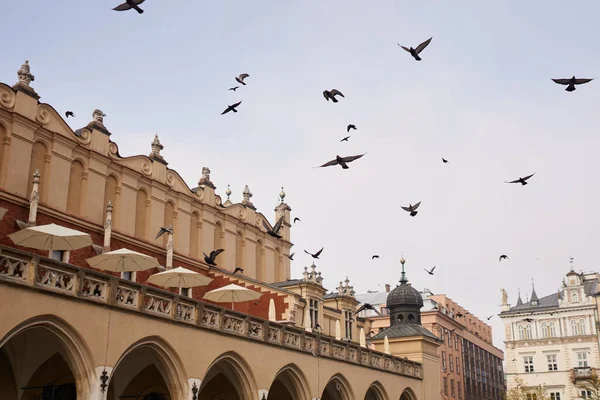 Oiseaux Volant Dans Ciel Bleu Sur Place Principale Ville Cracovie — Photo