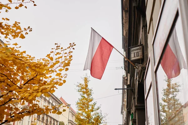 波兰国旗的建筑物与秋天的树橙色叶与城市的视野背景 光彩夺目的城市一年中秋天的概念 — 图库照片