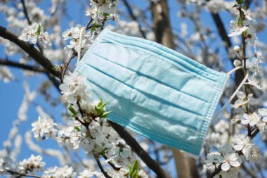 Mavi gökyüzüne karşı beyaz kayısı ağacına yakın tıbbi maske. Coronavirus covid-19 karantinası sırasında evdeki izolasyon durumu kavramı