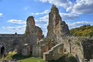 13. yüzyıl Gotik kale Boskovice harabe Ortaçağ değirmen