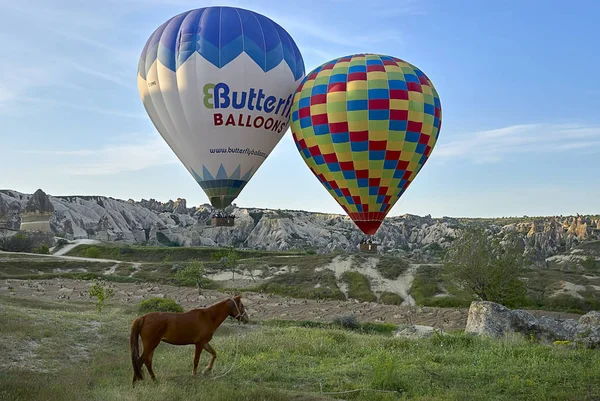 Globos de aire caliente volando sobre el valle por la mañana. Capadocia. Turquía —  Fotos de Stock