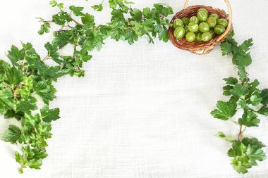 Bektaşi dal çerçeve yeşil yaprakları ile hasır sepet içinde