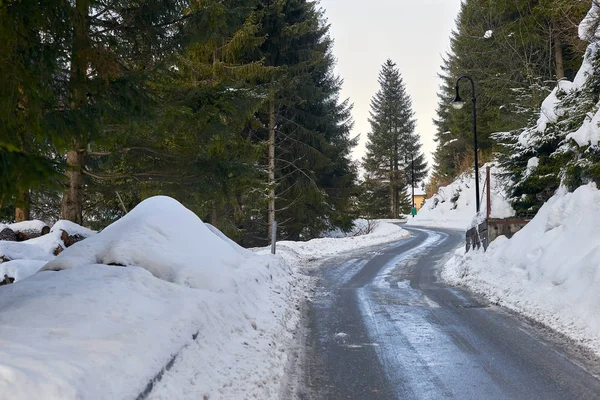 Асфальтированная Дорога Горном Лесу Свежим Снегом Обочине — стоковое фото