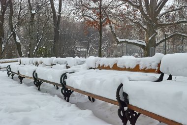 Vienna, Avusturya - 20 Ocak, 2013: ahşap banklar Rathauspark kar yağışı sonra kış sabah tarafından taze beyaz kar kaplı