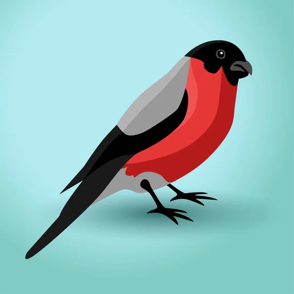 Bullfinch bird vector illustration — Stock Vector