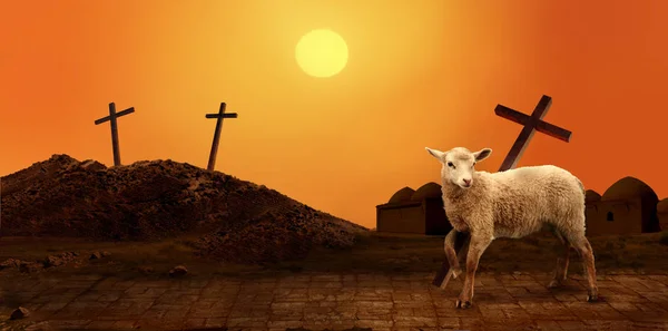 Jesus. Lamb of God. The atoning sacrifice of Jesus Christ Royalty Free Stock Images