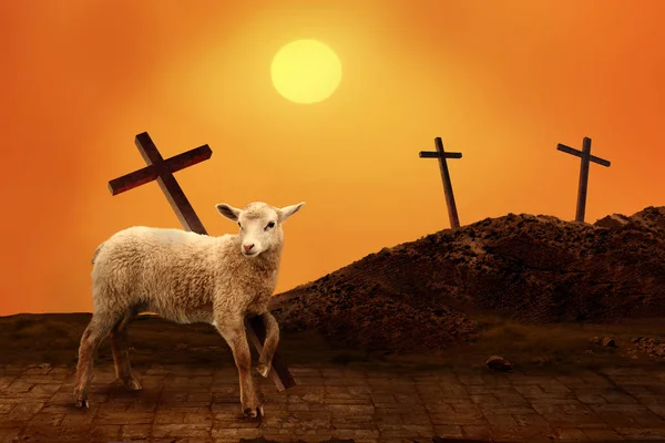 Lamb of God. The atoning sacrifice of Jesus Christ Stock Image