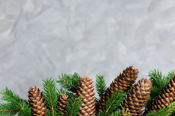 Schöner weihnachtlicher Hintergrund — Stockfoto