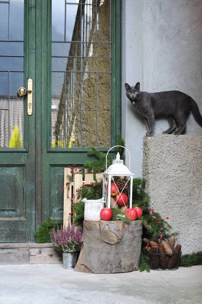 Grey cat and christmas decoration — Stock Photo, Image