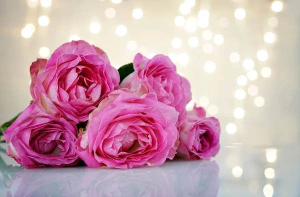 Prachtige roze rozen — Stockfoto