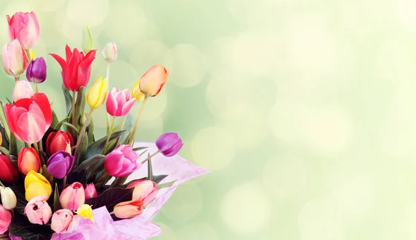 チューリップの美しい花束 — ストック写真