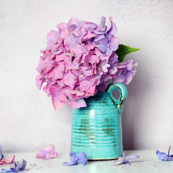 Schöne Hortensien Blumen — Stockfoto