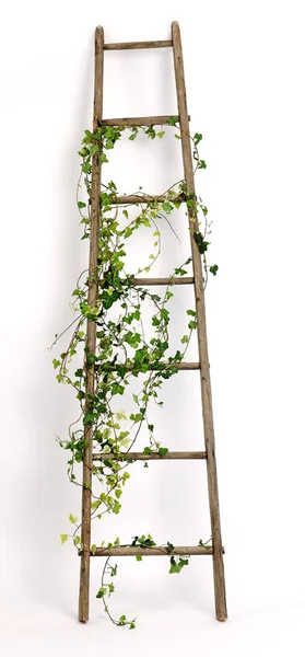 Vieja escalera decorada con ramas de hiedra —  Fotos de Stock