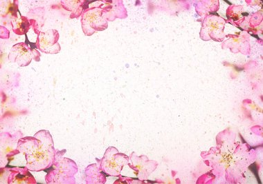 çiçek bahar çerçeve