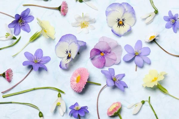 Blumenschmuck im Frühling — Stockfoto