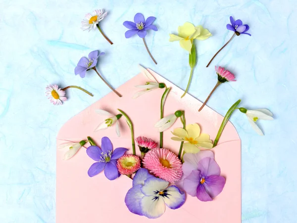 Sobres con flores de primavera —  Fotos de Stock