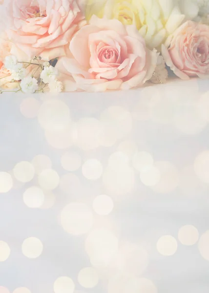 Background with beautiful roses — Stock Photo, Image