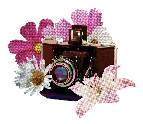 Vintage camera met bloemen — Stockfoto