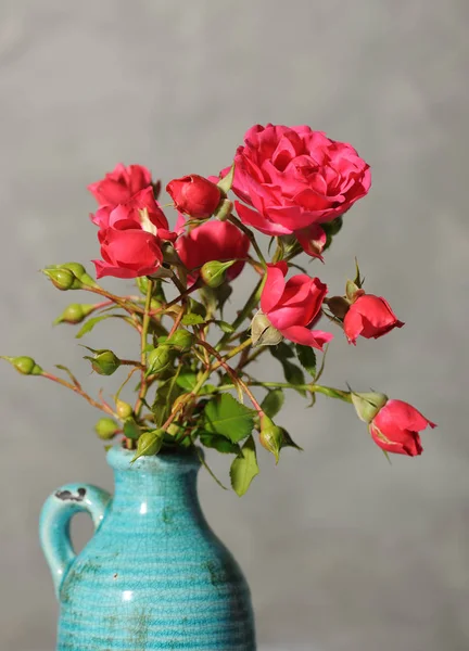 Belle rose rosse — Foto Stock