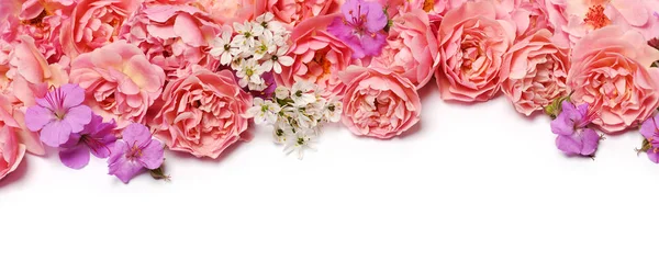 ชายแดนดอกไม้ที่สวยงาม — ภาพถ่ายสต็อก