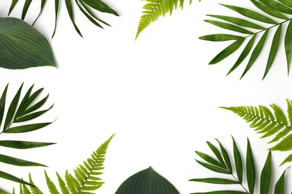 Yeşil yaprakların çerçevesi