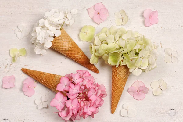 Рожки мороженого с цветами гортензии — стоковое фото