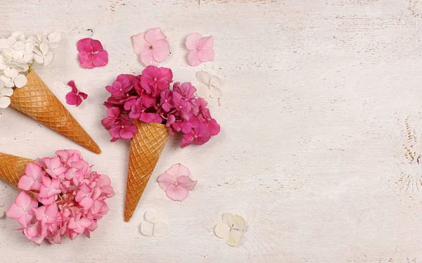 Es krim kerucut dengan bunga hydrangea — Stok Foto