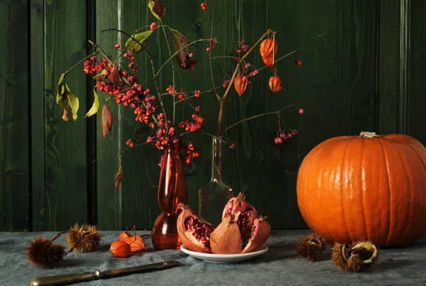 紅葉の静物 — ストック写真