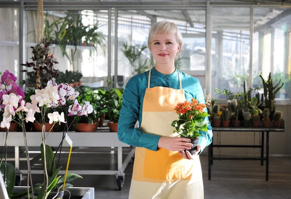 Retrato de florista alegre — Fotografia de Stock