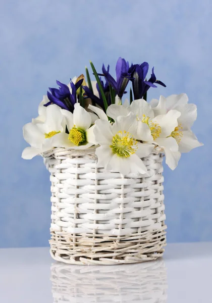 Bouquet Avec Gouttes Neige Iris Bleus — Photo