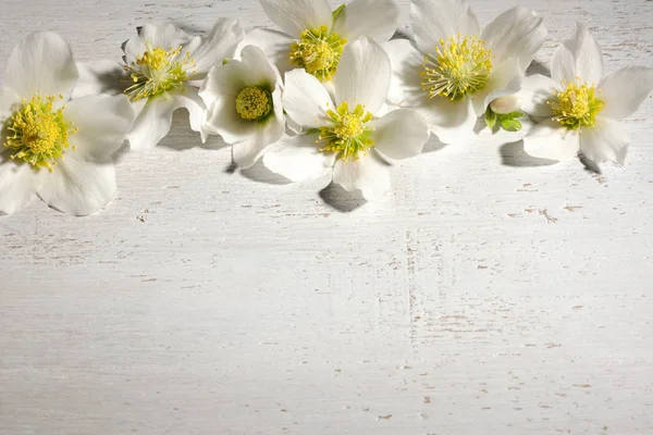 Beautiful Spring Flowers Wooden Background — Stock Photo, Image
