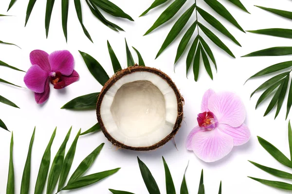 Noix Coco Orchidées Brindilles Palmier Sur Fond Blanc — Photo