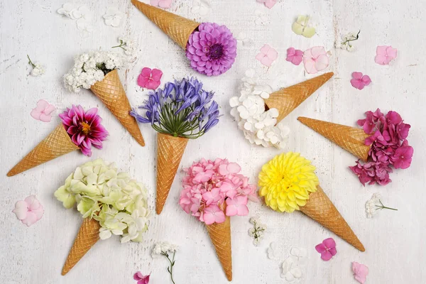 Conos Helado Con Hermosas Flores Multicolores — Foto de Stock