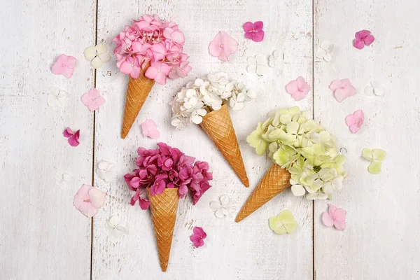 Рожки Мороженого Красивыми Цветами Гортензии — стоковое фото