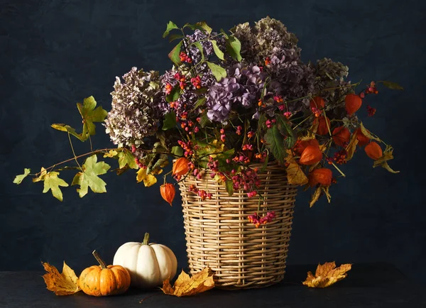 Podzimní složení — Stock fotografie