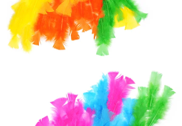 Colorful feathers background — Stock Photo, Image