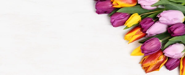 Ram av vackra tulpaner — Stockfoto